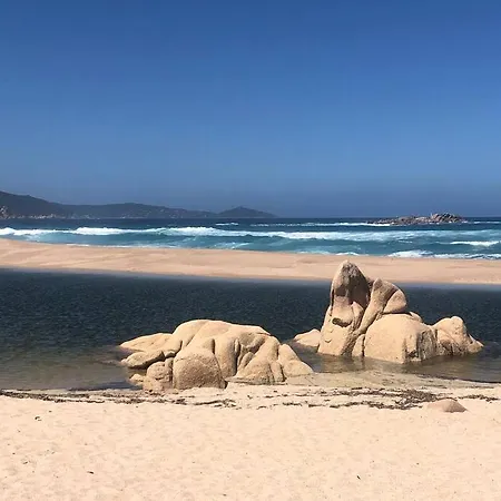 T2 Avec Piscine Aux Portes De La De Cupabia Serra-di-Ferro (Corsica)