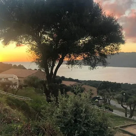 T2 Avec Piscine Aux Portes De La De Cupabia * Serra-di-Ferro (Corsica)