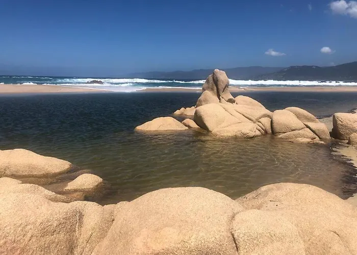 T2 Avec Piscine Aux Portes De La De Cupabia * Serra-di-Ferro (Corsica)