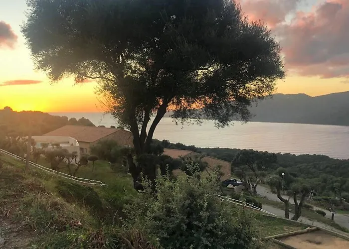 T2 Avec Piscine Aux Portes De La De Cupabia * Serra-di-Ferro (Corsica)